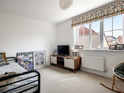 Picture 23